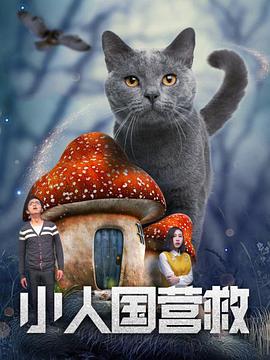 隐秘的同居2
