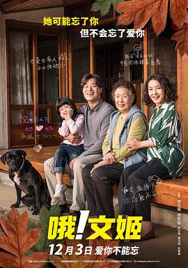 年轻的护士电影