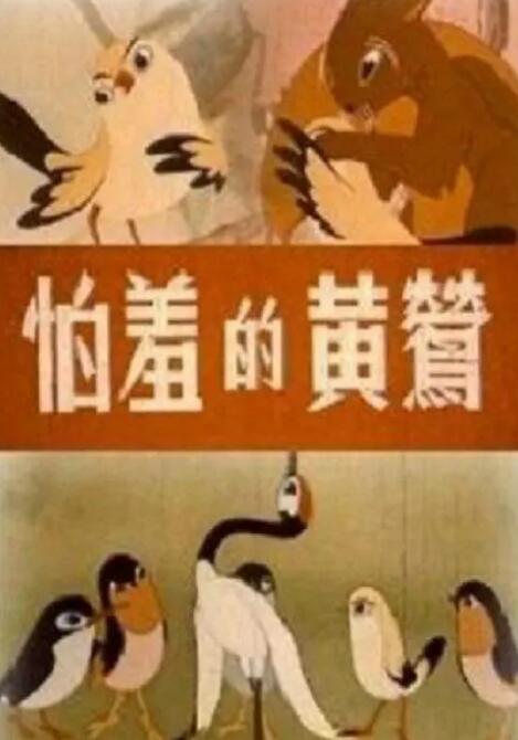 AV明星的广泛实习