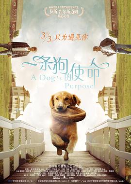 激情五月***国产精品