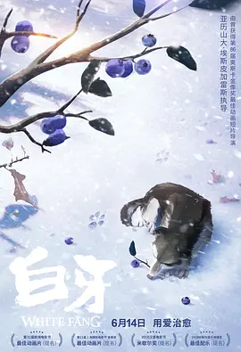 看污的网站