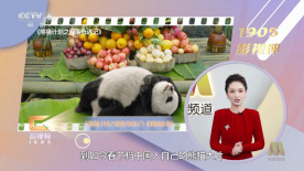 无人精品乱码一区二区三区